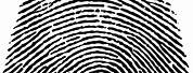 Fingerprint PNG Transparent