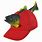 Fish Head Hat