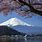 Five Lakes Mount Fuji