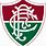 Fluminense RJ FC