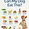 Foods That Dogs Can Eat