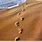Footprints in the Sand Clip Art