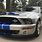 Ford Mustang GT 500 2001