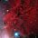 Fox Fur Nebula in the Monoceros Constellation