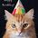 Free Birthday Cards with Cats