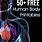 Free Printable Human Anatomy