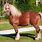 French Draft Horse Breeds