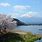 Fuji Five Lakes Area