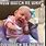 Funniest Baby Memes Ever