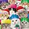 Funny Cat Christmas Cards