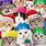Funny Cat Christmas Pictures