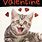 Funny Cat Valentine's Day Cards