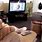 Funny Cat Watching TV