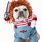 Funny Costumes for Dogs