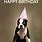 Funny Dog Birthday