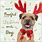 Funny Dog Merry Christmas Greetings Messages