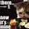 Funny Food Cat Memes