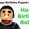 Funny Happy Birthday Robert