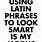 Funny Latin Quotes
