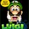 Funny Luigi Memes