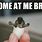 Funny Memes Baby Turtle