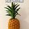 Funny Pineapple Memes