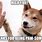 Funny Puppy Paw Memes