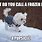 Funny Snow Dog