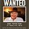 Funny Wanted Ads