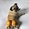 Funny and Cute Pugs