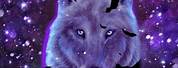 Galaxy Cool Wolves GIF