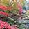 Garden Nikko Japan
