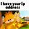 Garfield IP Address Meme