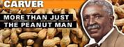 George Washington Carver Peanut Man