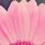 Girly iPhone Wallpaper Flower
