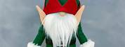 Gnome Elf