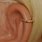 Gold Cartilage Hoop Earrings