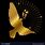 Gold Dove Logo