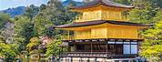 Golden Pagoda Kyoto