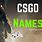 Good CSGO Names