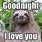 Good Night Sloth