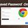 Google Chrome Passwords