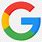 Google Icon Vector