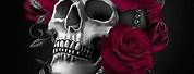 Gothic Art Skulls with Roses