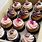 Gourmet Cupcakes Online