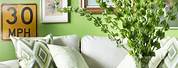 Green Room Decor Ideas