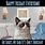 Grumpy Cat Memes Funny Thursday