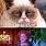 Grumpy Cat Movie Memes
