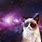 Grumpy Cat in Space