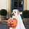 Halloween Dog Decoration